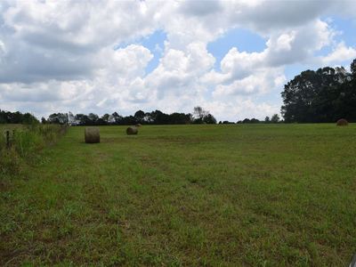 Morris Rd, Toney, AL, 35773