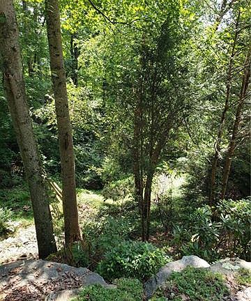 5th image of 2210 E Cumming Woods Ln