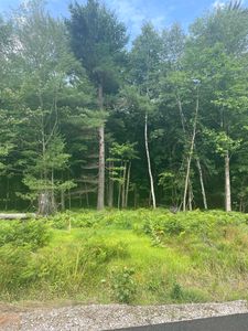 LOT 52 E Eagle Pass Dr, Midland, MI, 48640