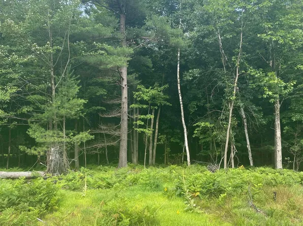 LOT 52 E Eagle Pass Dr, Midland, MI 48640