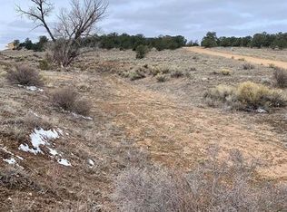 Tbd Iron Mountain Rd, Cotopaxi, CO 81223