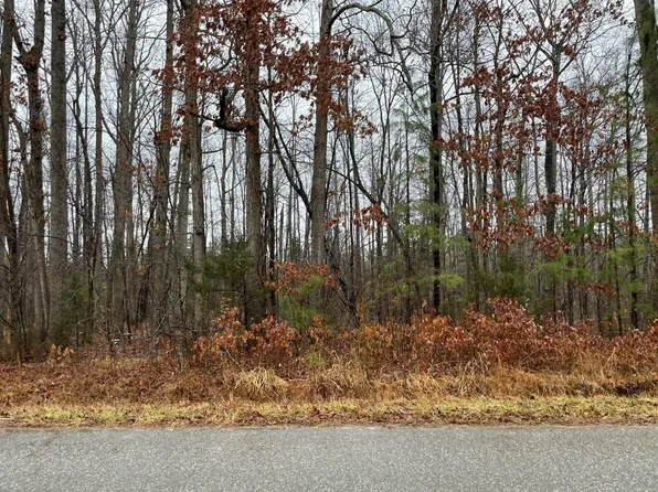 Doswell Town Rd, Meherrin, VA 23954