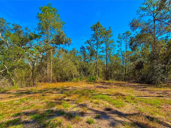 66 NW 21st Pl, Jasper, FL 32052