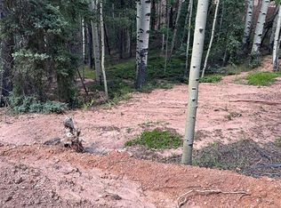 1301 Calcite Dr, Divide, CO 80814