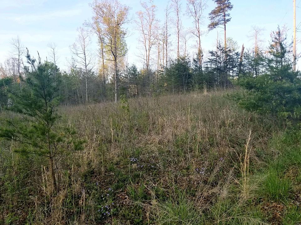 2nd image of Wilson Ln