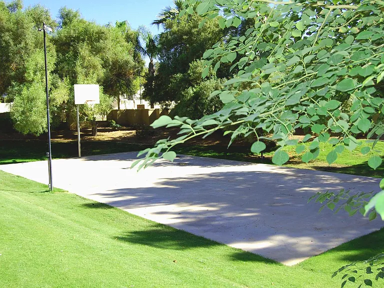 Basketball Court