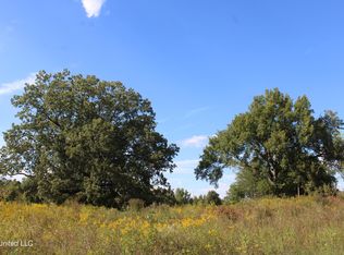 5300 Desoto Rd, Walls, MS 38680