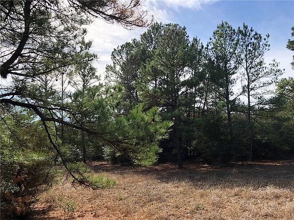5th image of 161 Branding Iron Dr
