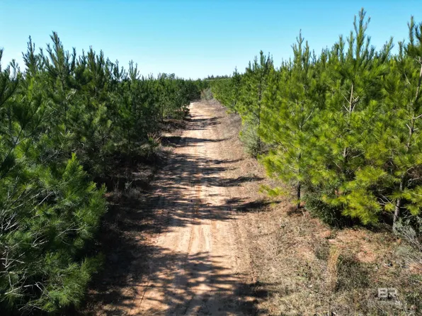 LOT 4 Robinsonville Rd, Atmore, AL 36502