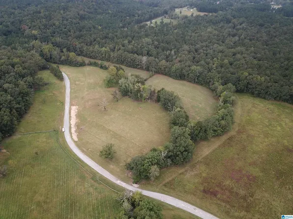 0 Poplar Springs Trl #1, Ashville, AL 35953