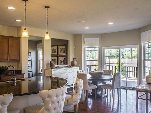 Model Representation