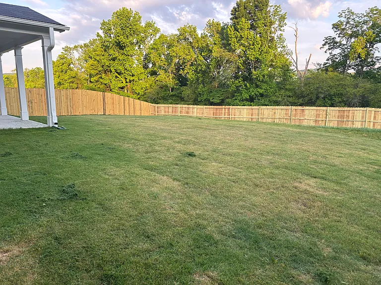 Fenced backyard