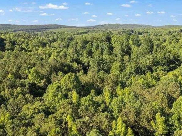 8120 County Road 25, Heflin, AL 36264