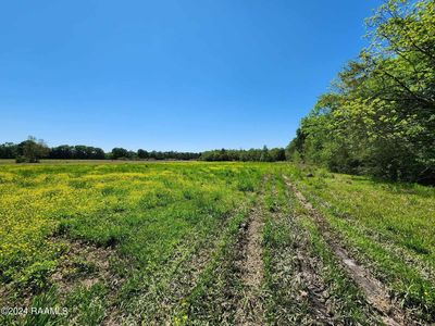 Duck Rd #A1, Sunset, LA, 70584