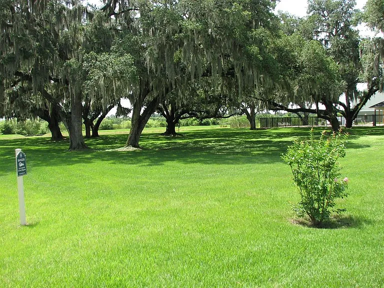 8216 Downpatrick Ct — Photo 32