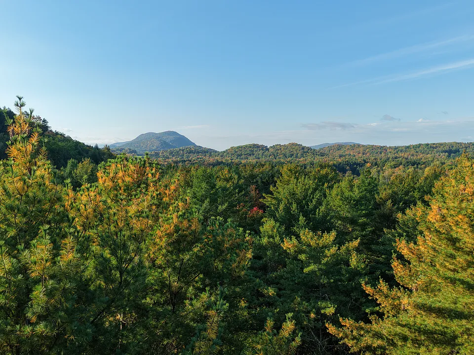 887 Lewis Creek Rd