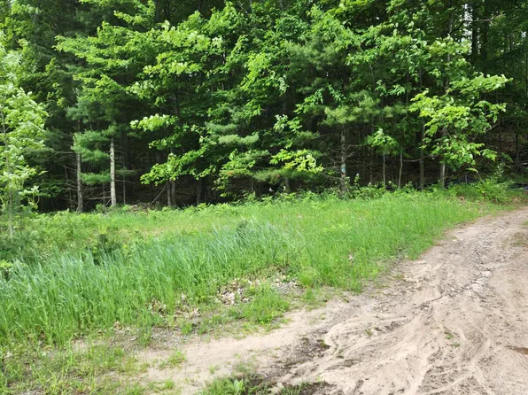Nhn Lakeshore Dr, Harrisville, MI 48740