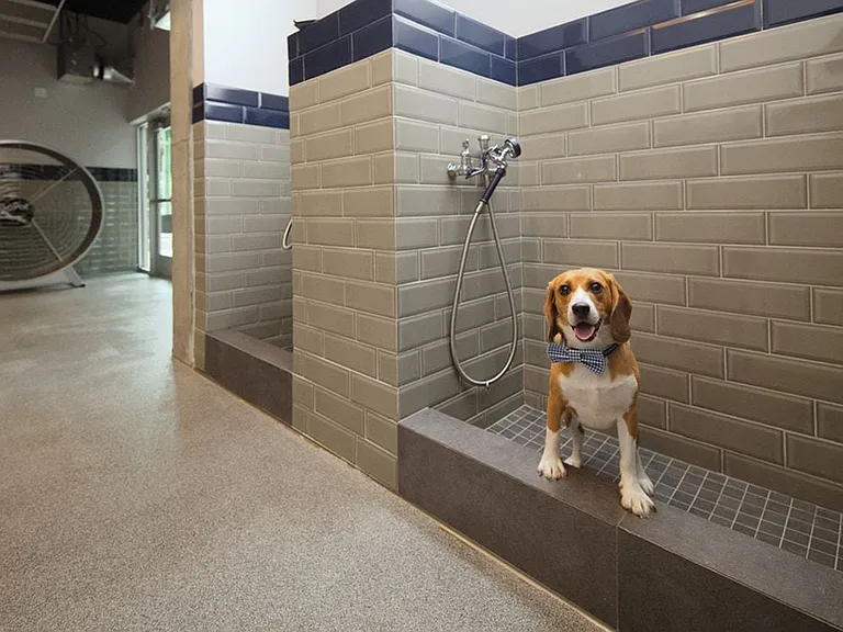 WAG Pet Spa