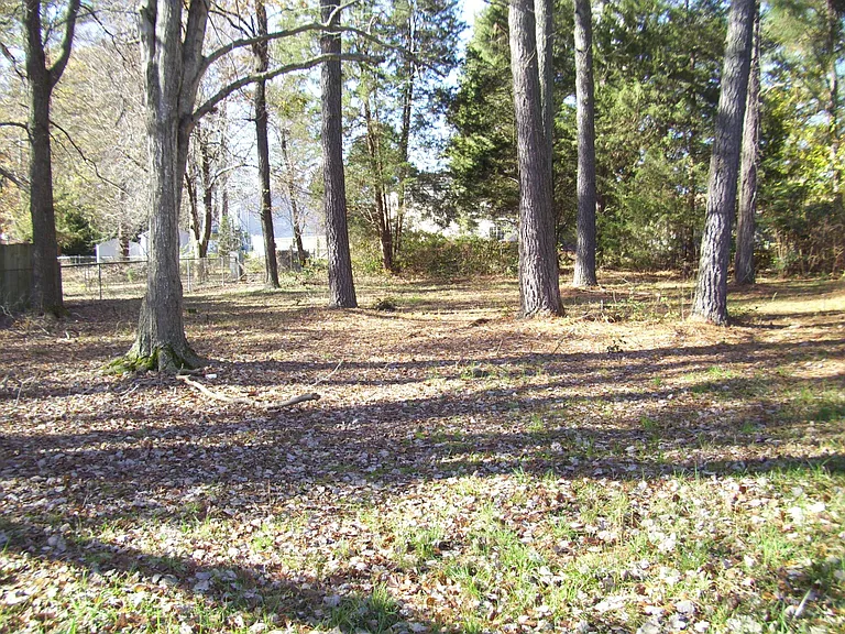 7436 Orchardhill Dr — Photo 7