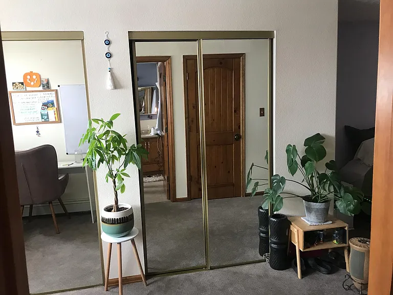 Large double closet in the bedroom.