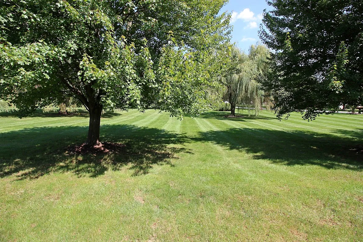 3 bed, 1.5 bath, 1332 sqft, $2,300 — Photo 3