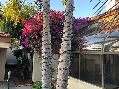 556 Bay Villas Ln — Photo 22