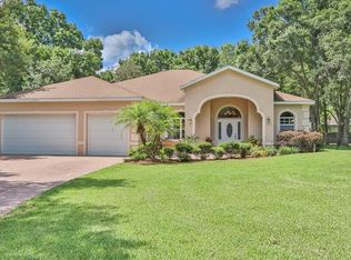 10502 Cyndee Ln, Odessa, FL 33556