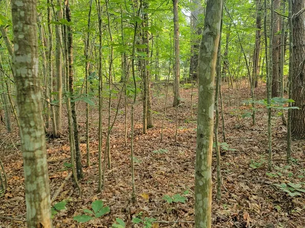 3 Lewis Ford Rd, Brookneal, VA 24528