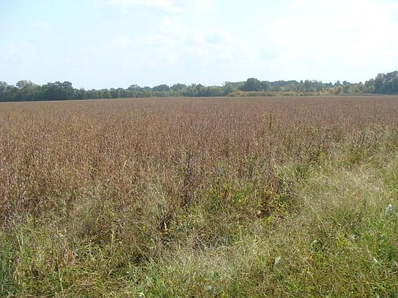 3rd image of 10308 Highway 79 N