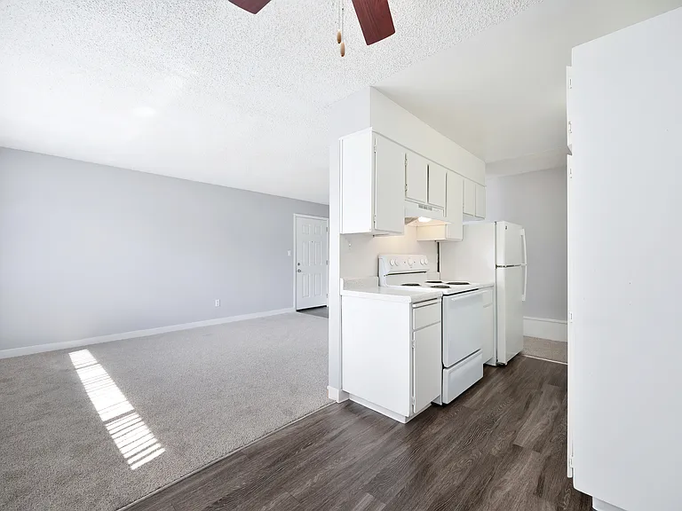 The Canopy | Kitchen