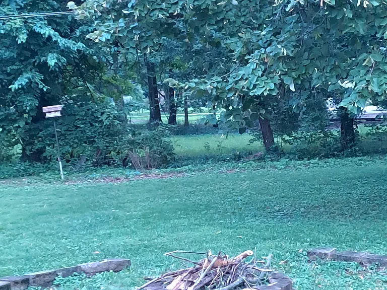 Backyard fire pit