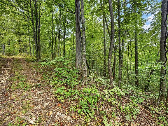 2nd image of 0 Timber Ridge Ln Lot 32