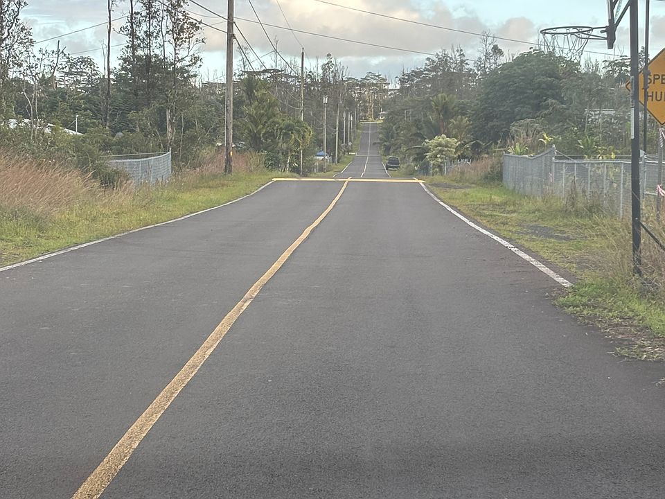 2nd image of Hibiscus Dr Lot 23