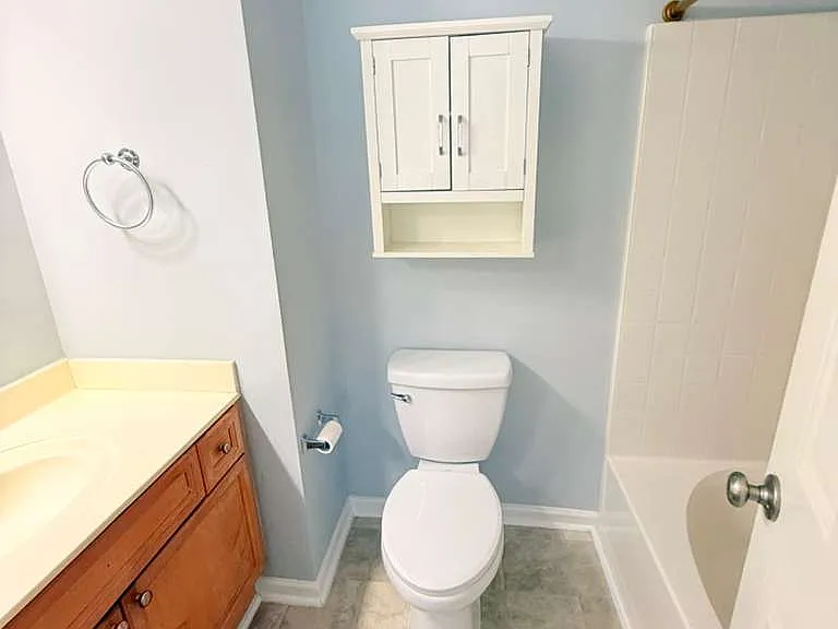 11536 Delores Ferguson Ln — Photo 11