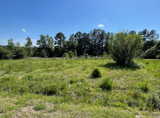 113 W Cotton Patch Ln, Bonneau, SC 29431