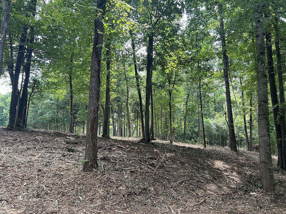 2nd image of 8 White Springs Rd