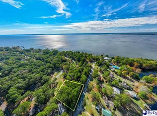 100 Triangle Dr, Summerton, SC 29148