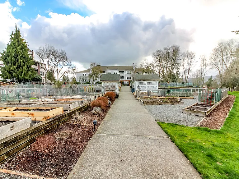 Garden near Library