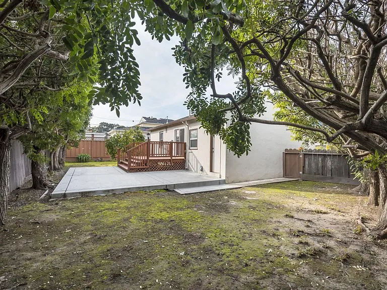 Backyard 3