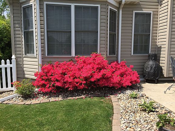 2nd image of 60 Mimosa Dr