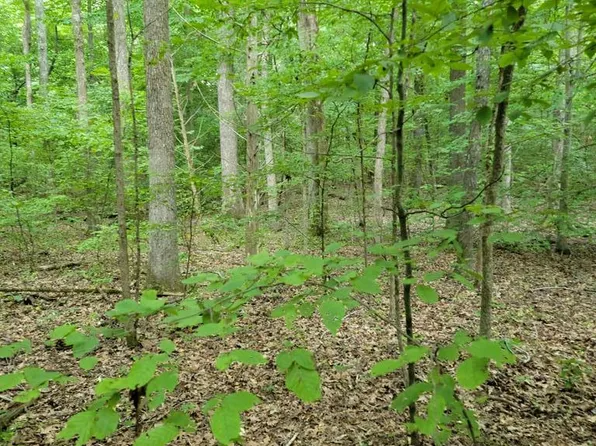 0 Lynn Ln, Big Sandy, TN 38221