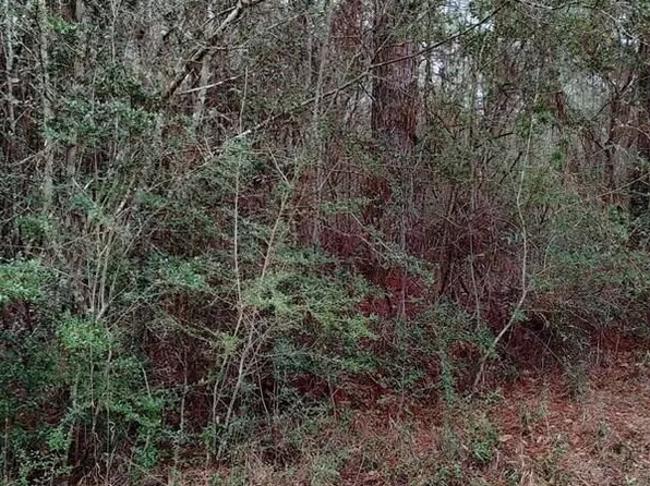 Nhn Laura St, Lumberton, MS 39455
