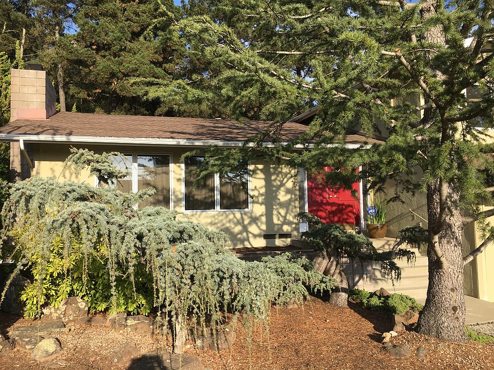 Blue Atlas & Cedar at Entry 