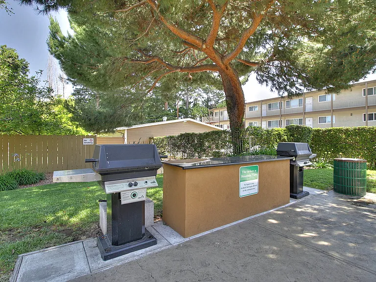Gas BBQ grills