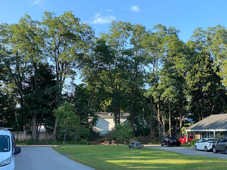 10 Lane Ct — Photo 20