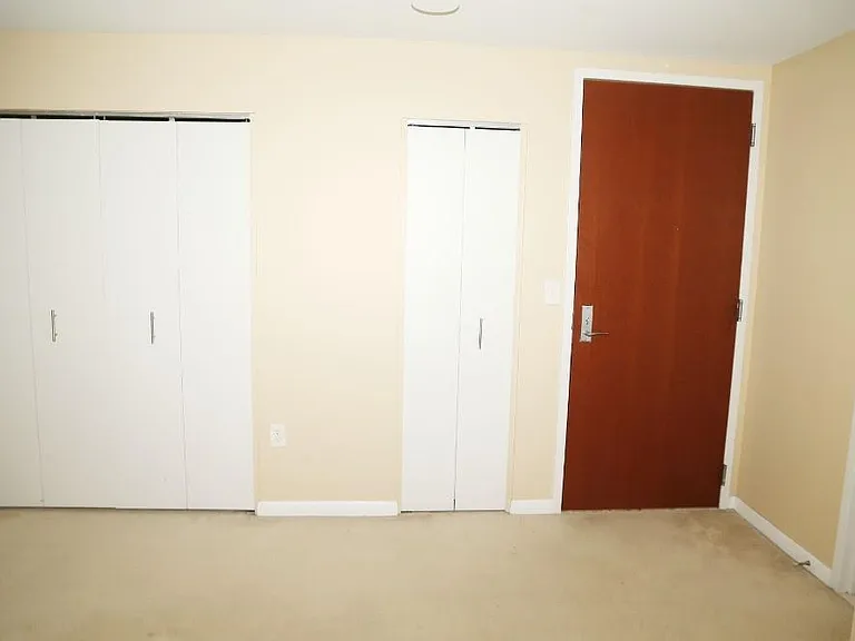 1001 W Jefferson Ave #300/16F — Photo 14