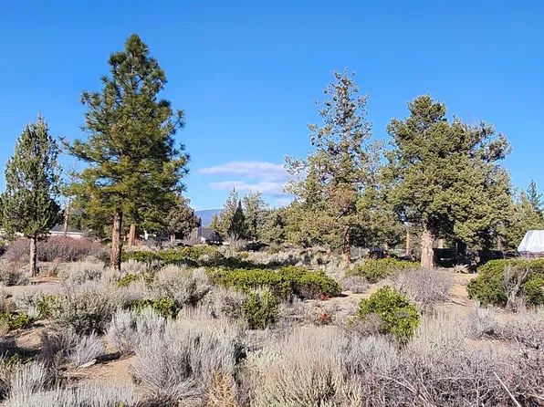 LOT 273 Sherwood Pl, Weed, CA 96094