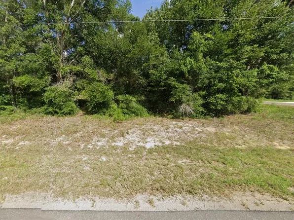 SE 141st Ter Lot 9, Ocklawaha, FL 32179