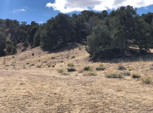 18 Cl&g UNIT BB, Gardner, CO 81040