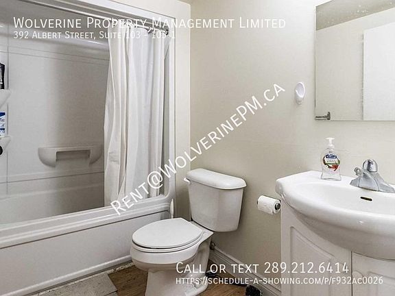 2nd image of 392 Albert St Suite 103-103-1